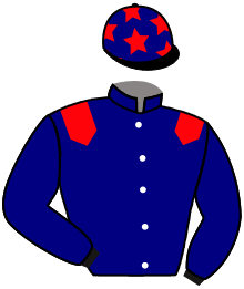 casaque portée par Dubourg P. jockey du cheval de course LE PHILOSOPHE, information pmu ZETURF casaque portée par Dubourg P. jockey du cheval de course LE PHILOSOPHE, information pmu ZETURF