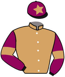 casaque portée par Chevillard T. jockey du cheval de course KAMARO D'HUEZ, information pmu ZETURF casaque portée par Chevillard T. jockey du cheval de course KAMARO D'HUEZ, information pmu ZETURF