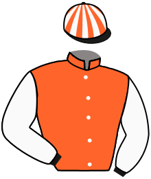 casaque portée par Riehl Mme M. jockey du cheval de course ENYA, information pmu ZETURF casaque portée par Riehl Mme M. jockey du cheval de course ENYA, information pmu ZETURF