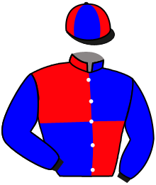 casaque portée par Champier G. jockey du cheval de course PROVERBIAL, information pmu ZETURF
