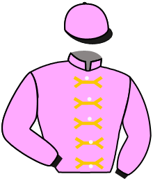 casaque portée par Valle Skar Mlle F. jockey du cheval de course ZARQANA, information pmu ZETURF casaque portée par Valle Skar Mlle F. jockey du cheval de course ZARQANA, information pmu ZETURF