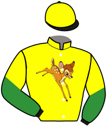 casaque portée par Akari-souidane Mme Sar. jockey du cheval de course ALWAYS DANCING, information pmu ZETURF casaque portée par Akari-souidane Mme Sar. jockey du cheval de course ALWAYS DANCING, information pmu ZETURF