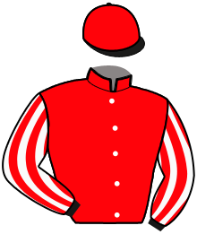 casaque portée par Busset Th. jockey du cheval de course MYKERINOS, information pmu ZETURF casaque portée par Busset Th. jockey du cheval de course MYKERINOS, information pmu ZETURF