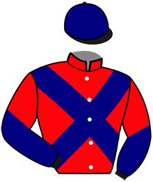 casaque portée par Faivre Pierret J. jockey du cheval de course HAZARD EDEN, information pmu ZETURF