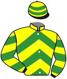 casaque portée par Dubourg K. jockey du cheval de course INDIA DE CANDALE, information pmu ZETURF casaque portée par Dubourg K. jockey du cheval de course INDIA DE CANDALE, information pmu ZETURF