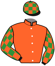 casaque portée par Lamy R. jockey du cheval de course LADY VALENTINE, information pmu ZETURF