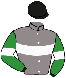 casaque portée par Olivier S. jockey du cheval de course L'ABEILLE DU DOME, information pmu ZETURF