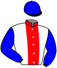 casaque portée par Velon Mlle M. jockey du cheval de course ACCLAM, information pmu ZETURF casaque portée par Velon Mlle M. jockey du cheval de course ACCLAM, information pmu ZETURF
