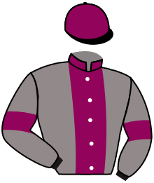 casaque portée par Lemiere Mr Rom. jockey du cheval de course HAMURANA SPRINGST, information pmu ZETURF