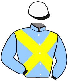 casaque portée par Bertin Lil. jockey du cheval de course KAROLYNE DE MALAC, information pmu ZETURF casaque portée par Bertin Lil. jockey du cheval de course KAROLYNE DE MALAC, information pmu ZETURF