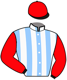 casaque portée par Martin G. jockey du cheval de course MEGINO, information pmu ZETURF casaque portée par Martin G. jockey du cheval de course MEGINO, information pmu ZETURF