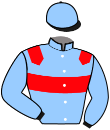 casaque portée par Bazire N. jockey du cheval de course MAJOR DE TIMM, information pmu ZETURF casaque portée par Bazire N. jockey du cheval de course MAJOR DE TIMM, information pmu ZETURF