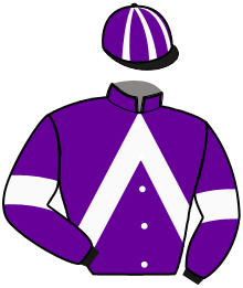 casaque portée par Rabier J. A. jockey du cheval de course IMPERIALE DE SYHM, information pmu ZETURF