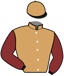 casaque portée par Fleury P. X. jockey du cheval de course IMPATIENT DU LUPIN, information pmu ZETURF