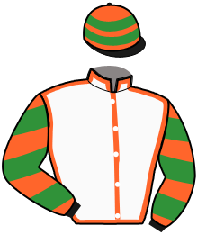 casaque portée par Bellet Thé. jockey du cheval de course JULIANO STILE, information pmu ZETURF casaque portée par Bellet Thé. jockey du cheval de course JULIANO STILE, information pmu ZETURF