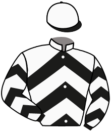casaque portée par Journiac H. jockey du cheval de course VALIABAD, information pmu ZETURF casaque portée par Journiac H. jockey du cheval de course VALIABAD, information pmu ZETURF