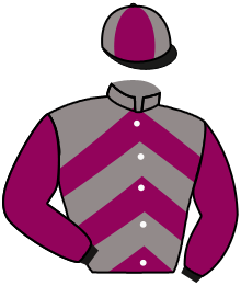casaque portée par Hardouin E. jockey du cheval de course MY EDEN JAMES, information pmu ZETURF casaque portée par Hardouin E. jockey du cheval de course MY EDEN JAMES, information pmu ZETURF