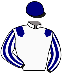casaque portée par Velon Mlle M. jockey du cheval de course SONG OF DUBAI, information pmu ZETURF casaque portée par Velon Mlle M. jockey du cheval de course SONG OF DUBAI, information pmu ZETURF