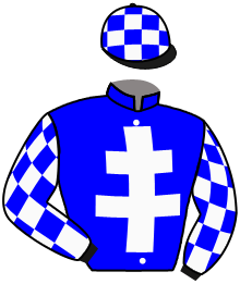 casaque portée par Bails Mlle L. jockey du cheval de course WHILAND, information pmu ZETURF casaque portée par Bails Mlle L. jockey du cheval de course WHILAND, information pmu ZETURF