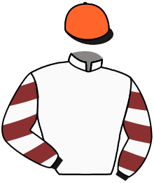 casaque portée par Cheyer Mme Per. jockey du cheval de course PARK OF DIAMOND, information pmu ZETURF casaque portée par Cheyer Mme Per. jockey du cheval de course PARK OF DIAMOND, information pmu ZETURF