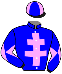 casaque portée par Boisseau L. jockey du cheval de course LHASA, information pmu ZETURF casaque portée par Boisseau L. jockey du cheval de course LHASA, information pmu ZETURF