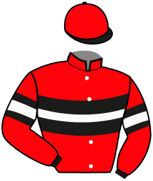 casaque portée par Demuro C. jockey du cheval de course CENTRICAL, information pmu ZETURF casaque portée par Demuro C. jockey du cheval de course CENTRICAL, information pmu ZETURF