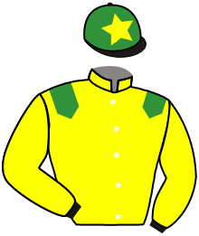 casaque portée par Lebouc Hug. jockey du cheval de course WHAT A FAIR FOOT, information pmu ZETURF casaque portée par Lebouc Hug. jockey du cheval de course WHAT A FAIR FOOT, information pmu ZETURF
