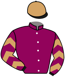 casaque portée par Mendizabal I. jockey du cheval de course LE MATELOT, information pmu ZETURF
