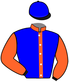 casaque portée par Seguy V. jockey du cheval de course GRECIAN RULER, information pmu ZETURF