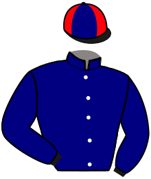 casaque portée par Leduc Mat. jockey du cheval de course KALINE DE COSSE, information pmu ZETURF