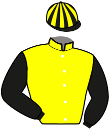 casaque portée par Constantin Mme A. jockey du cheval de course LOUSTIC HERBLINAIE, information pmu ZETURF