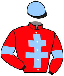 casaque portée par Ploquin Pau. Ph. jockey du cheval de course LABRAX DU SKY, information pmu ZETURF