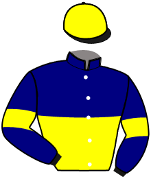 casaque portée par Raffin Th. jockey du cheval de course JICKY GIRL, information pmu ZETURF