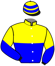 casaque portée par Gelormini L. jockey du cheval de course MADISON DE TILLARD, information pmu ZETURF