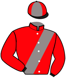 casaque portée par Saussaye V. jockey du cheval de course MALDA DU RIB, information pmu ZETURF