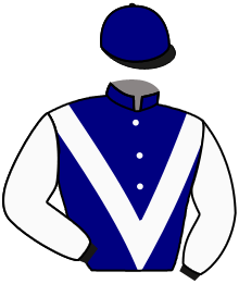 casaque portée par Brechet Léo P. jockey du cheval de course NOIRE WULF, information pmu ZETURF