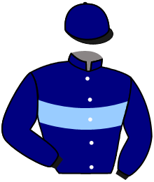casaque portée par Reveley J. jockey du cheval de course KINGPARK, information pmu ZETURF