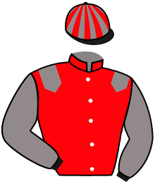 casaque portée par Lefebvre Mr C. jockey du cheval de course PARFUM D'UNE REINE, information pmu ZETURF