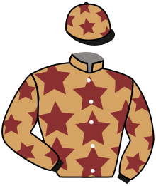 casaque portée par Bayle F. jockey du cheval de course MONTQUIN, information pmu ZETURF