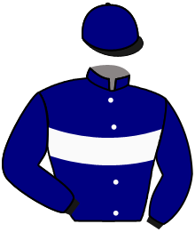 casaque portée par Nabet K. jockey du cheval de course CAPBELLO DINO, information pmu ZETURF