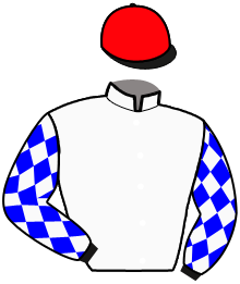 casaque portée par Vercruysse P. jockey du cheval de course NIKITA DE BLARY, information pmu ZETURF