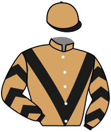 casaque portée par Mingant M. jockey du cheval de course MOON VERGOIGNAN, information pmu ZETURF
