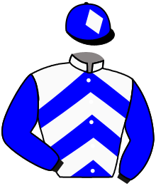 casaque portée par Zuliani L. jockey du cheval de course IGOR DES ONGRAIS, information pmu ZETURF