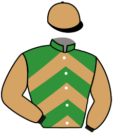 casaque portée par Le Callonec Mae. jockey du cheval de course ROCAMBOLESQUE, information pmu ZETURF