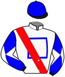 casaque portée par Seguy V. jockey du cheval de course SIENNE AL MAURY, information pmu ZETURF