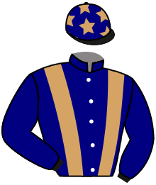 casaque portée par Guedj-gay G. jockey du cheval de course TS WASEEMA, information pmu ZETURF