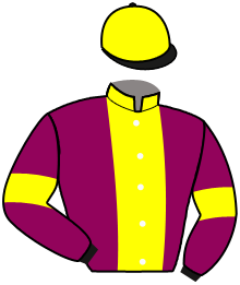 casaque portée par Plateaux J. jockey du cheval de course ALIBABA DU NIL, information pmu ZETURF