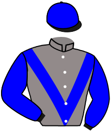casaque portée par Protti Mar. jockey du cheval de course FLORA TRISTAN, information pmu ZETURF