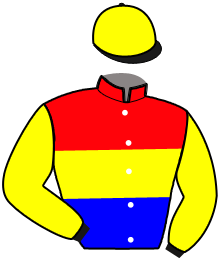 casaque portée par Dubord Rom. jockey du cheval de course YA TE VALE, information pmu ZETURF