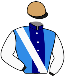 casaque portée par Lemaitre A. jockey du cheval de course PRADARO, information pmu ZETURF